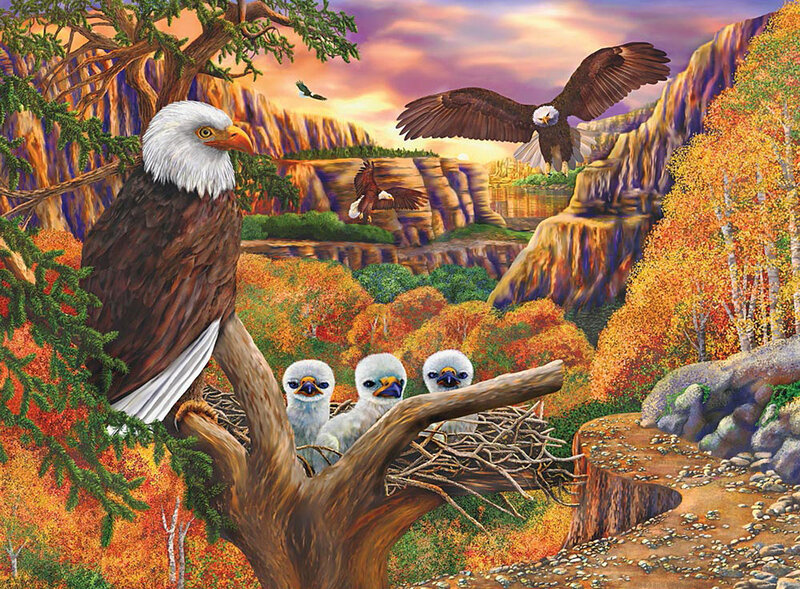 Bald Eagle Family — Orange