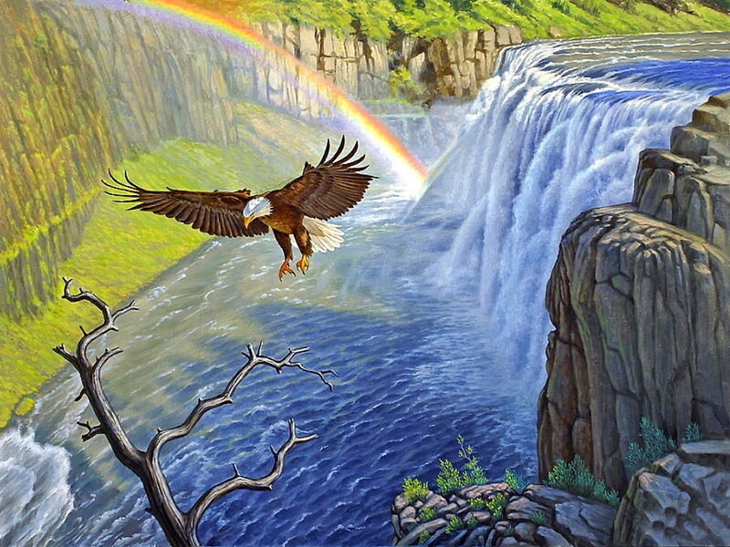 Bald Eagle Flying — Blue, Dramatic, Afternoon