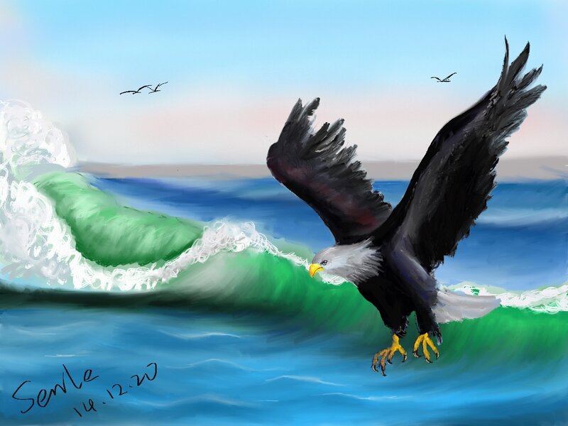 Bald Eagle Flying — Blue, Dramatic, Sunset, Digital Art