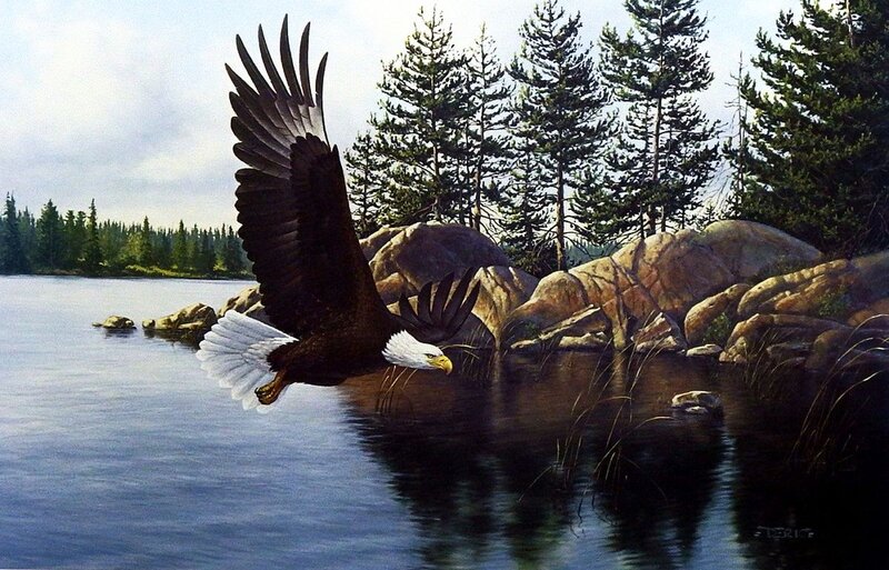 Bald Eagle Flying — Blue, Serene, Afternoon, Painting