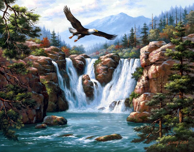 Bald Eagle Flying — Blue, Serene, Afternoon
