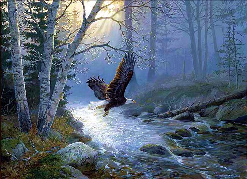 Bald Eagle Flying — Blue, Serene, Morning