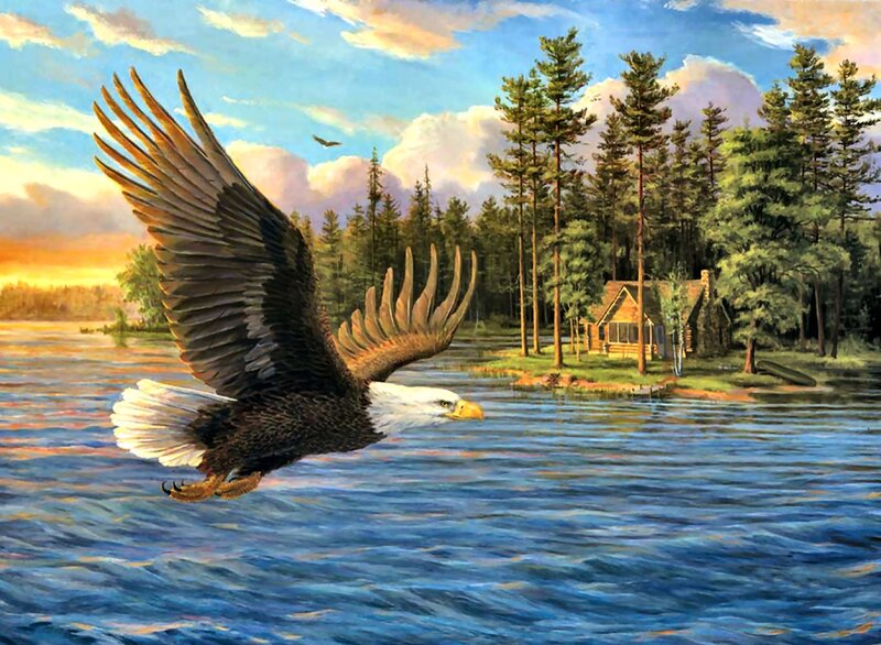 Bald Eagle Flying — Blue, Serene, Sunset, Painting