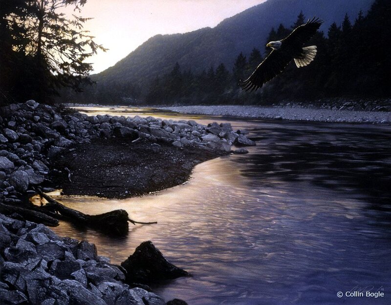 Bald Eagle Flying — Blue, Serene, Sunset