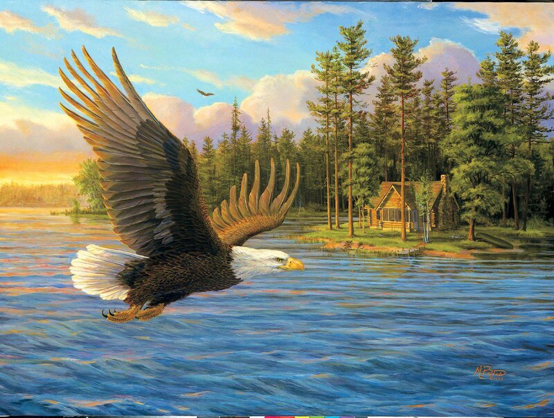 Bald Eagle Flying — Blue, Serene