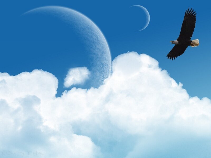 Bald Eagle Flying — Blue