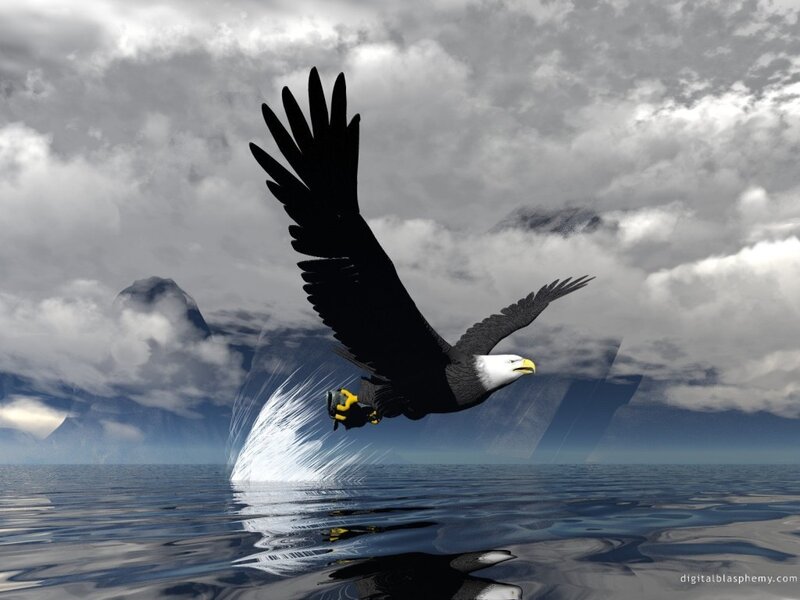 Bald Eagle Flying — Gray, Dramatic, Digital Art, Clouds