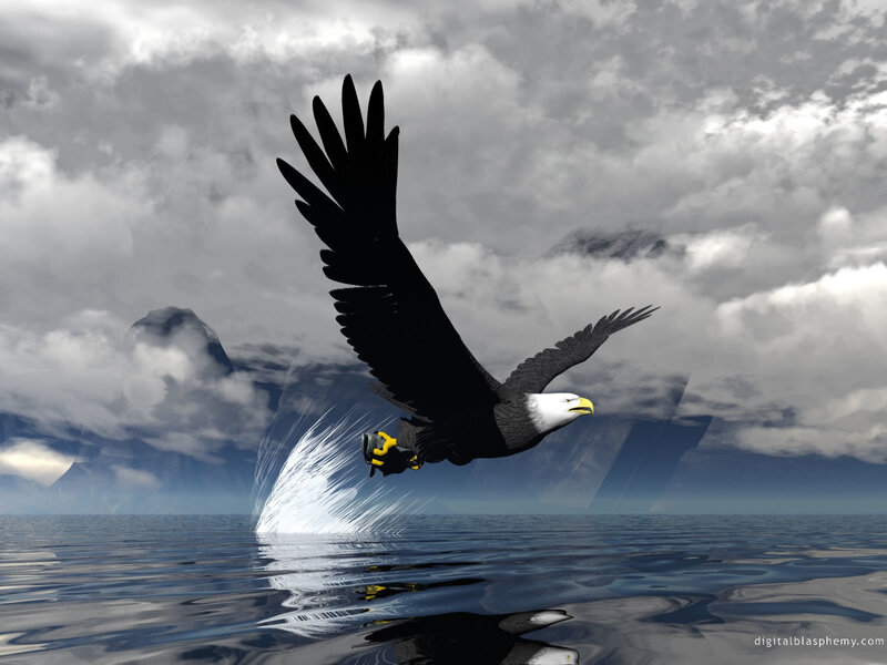 Bald Eagle Flying — Gray, Dramatic, Digital Art