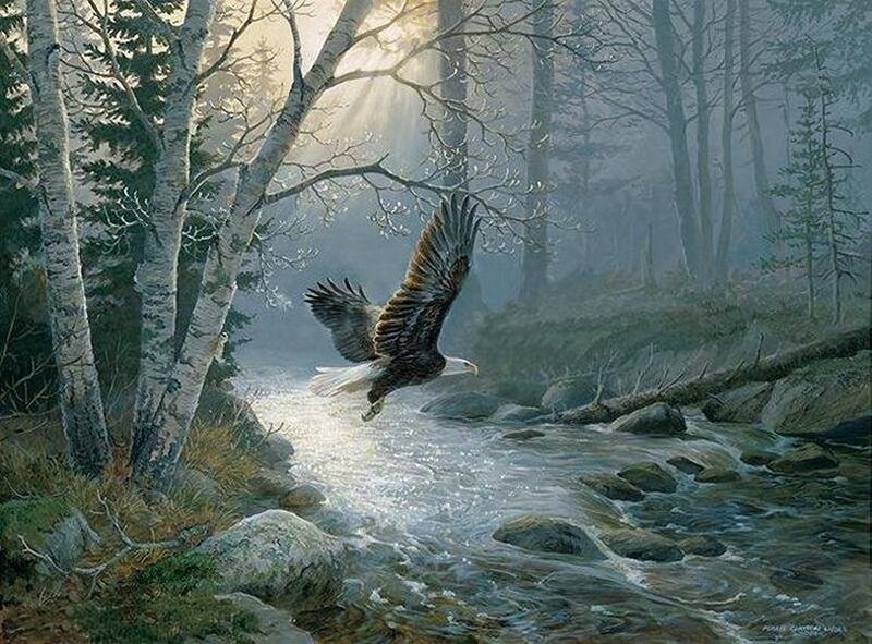 Bald Eagle Flying — Green
