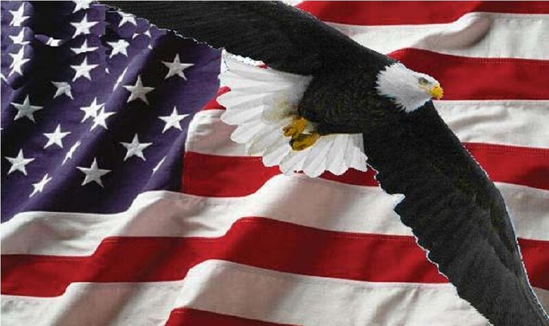 Bald Eagle Flying — Red