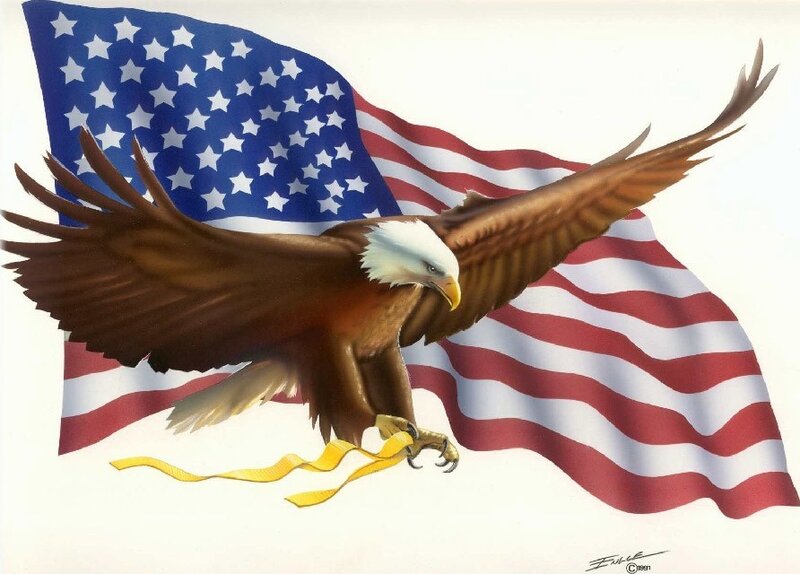 Bald Eagle Flying — White