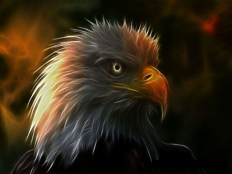 Bald Eagle Head — Black, Dramatic, Digital Art