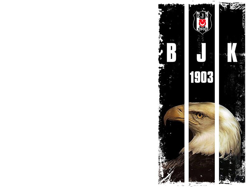 Bald Eagle Head — Black, Dramatic, Illustration