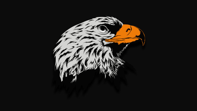 Bald Eagle Head — Black, Dramatic, Vector Art