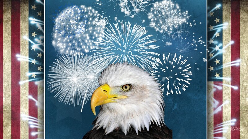 Bald Eagle Head — Blue, Patriotic, Night, Digital Art