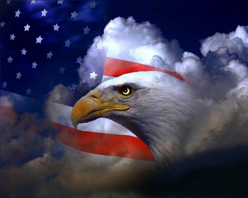 Bald Eagle Head — Blue, Patriotic, Night