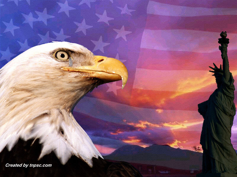 Bald Eagle Head — Blue, Patriotic, Sunset