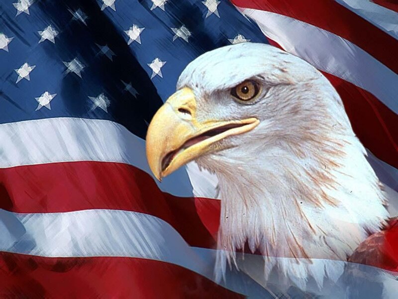 Bald Eagle Head — Patriotic