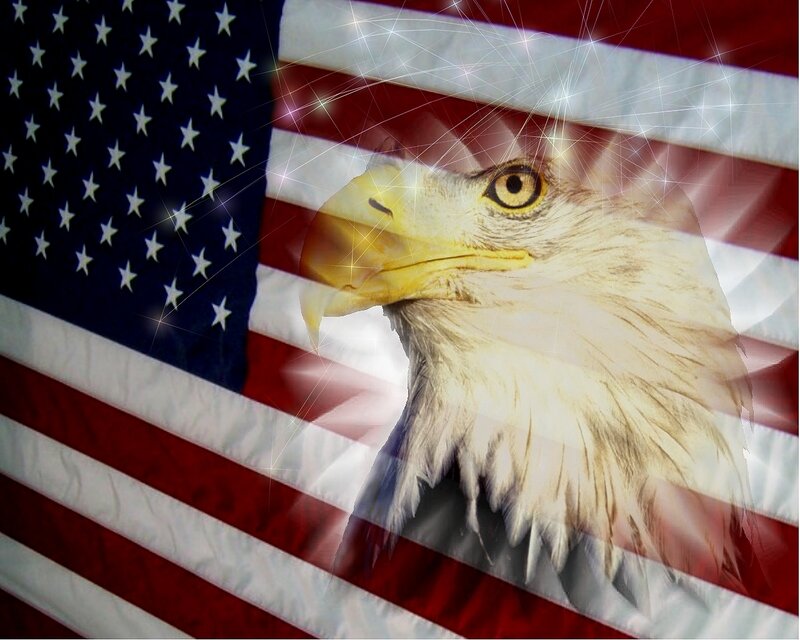 Bald Eagle Head — Red, Patriotic, Digital Art, American Flag, Sparkles
