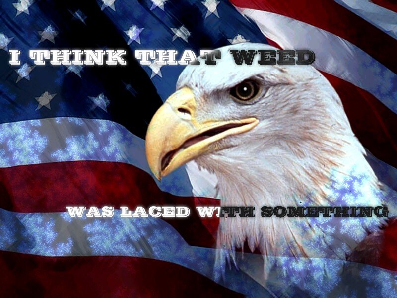 Bald Eagle Head — Red, Patriotic, Digital Art, American Flag, Text