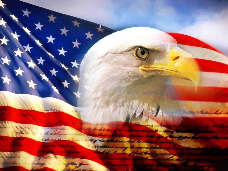 Bald Eagle Head — Red, Patriotic, Digital Art
