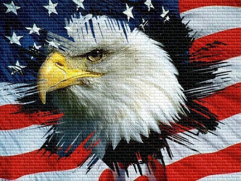 Bald Eagle Head — Red, Patriotic, Illustration, American Flag