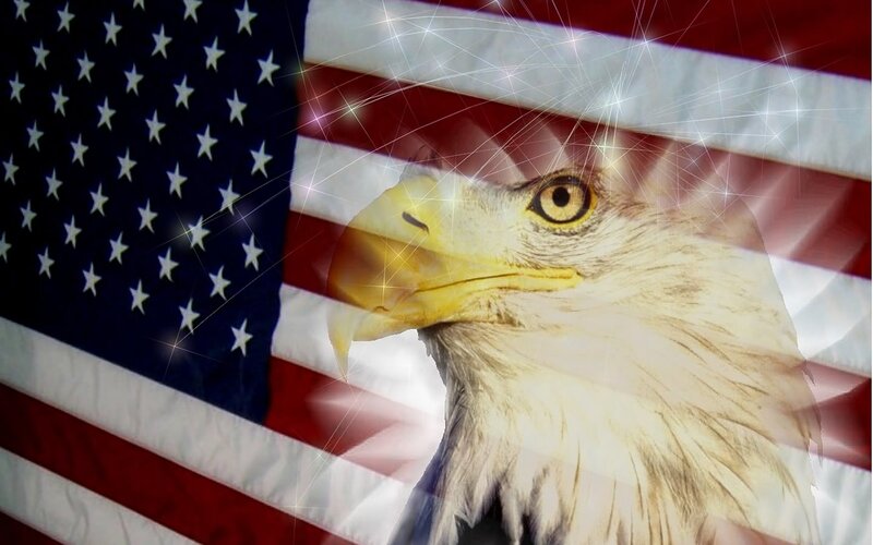 Bald Eagle Head — Red, Patriotic, Photograph, American Flag