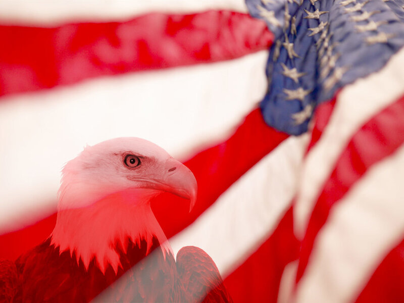 Bald Eagle Head — Red, Patriotic, Photograph, American Flag, White, Blue