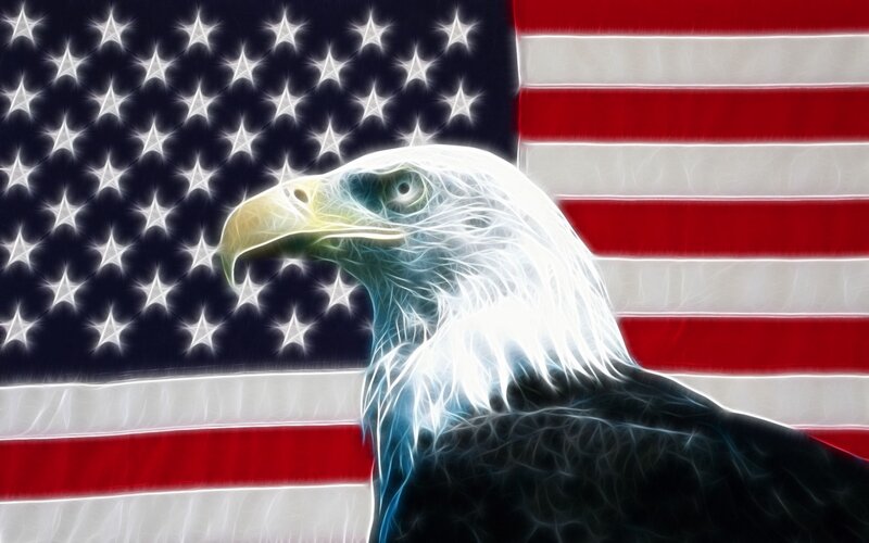 Bald Eagle Head — Red, Patriotic