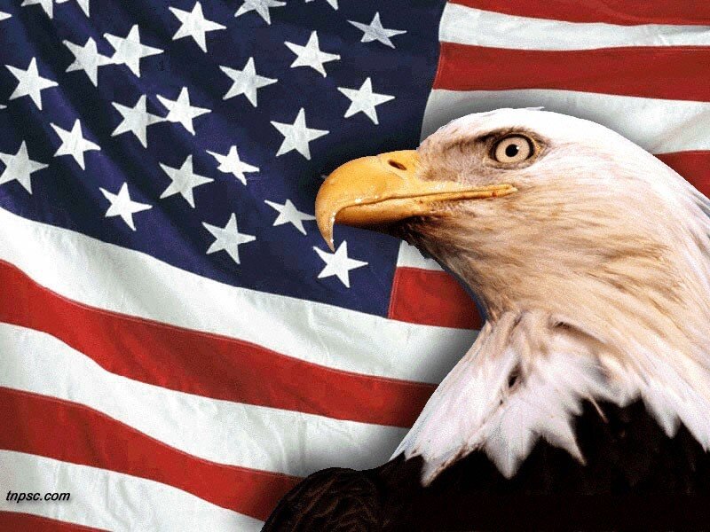 Bald Eagle Head — Red