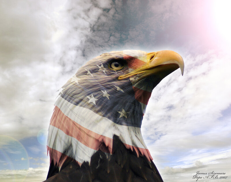 Bald Eagle Head — White, Dramatic, Digital Art, American Flag, Clouds