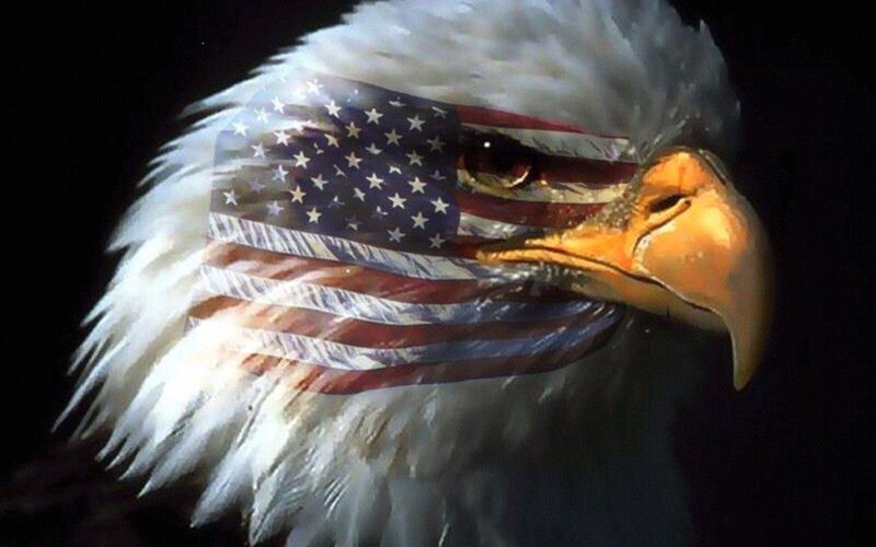 Bald Eagle Head — White, Dramatic, Digital Art, American Flag