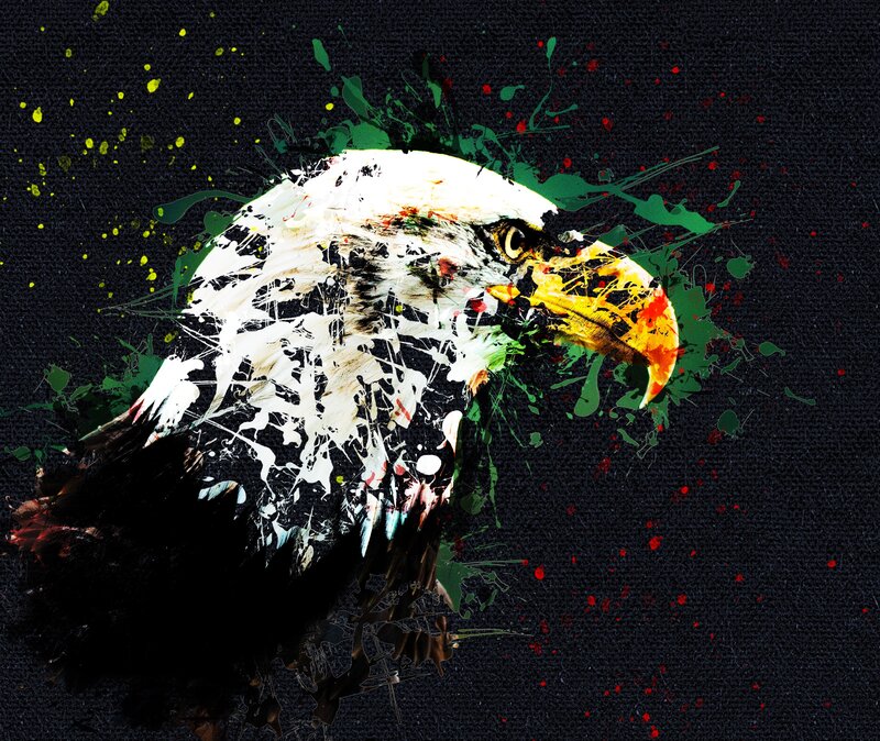 Bald Eagle Head — White, Dramatic, Digital Art, Paint Splatter