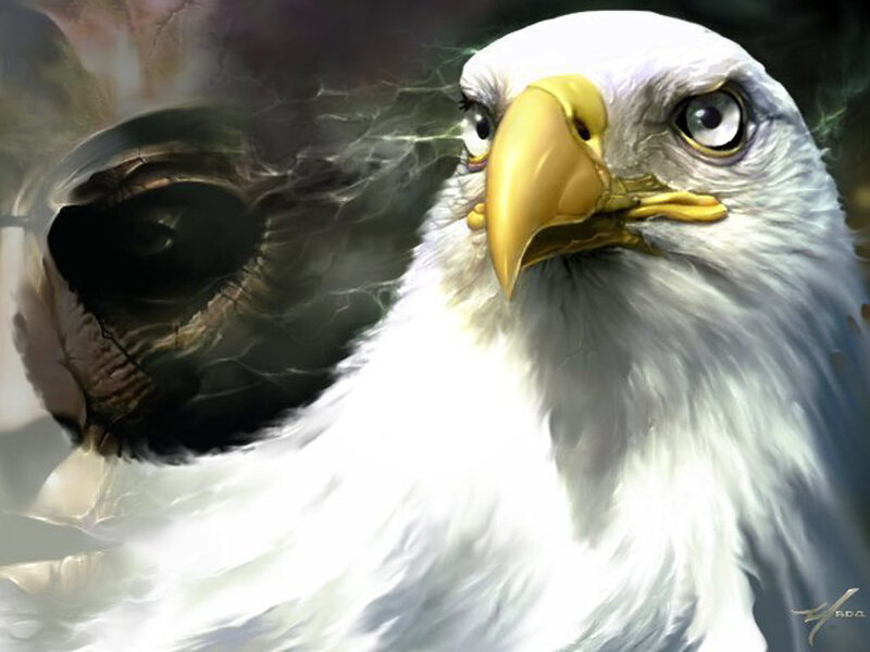 Bald Eagle Head — White, Dramatic, Digital Art
