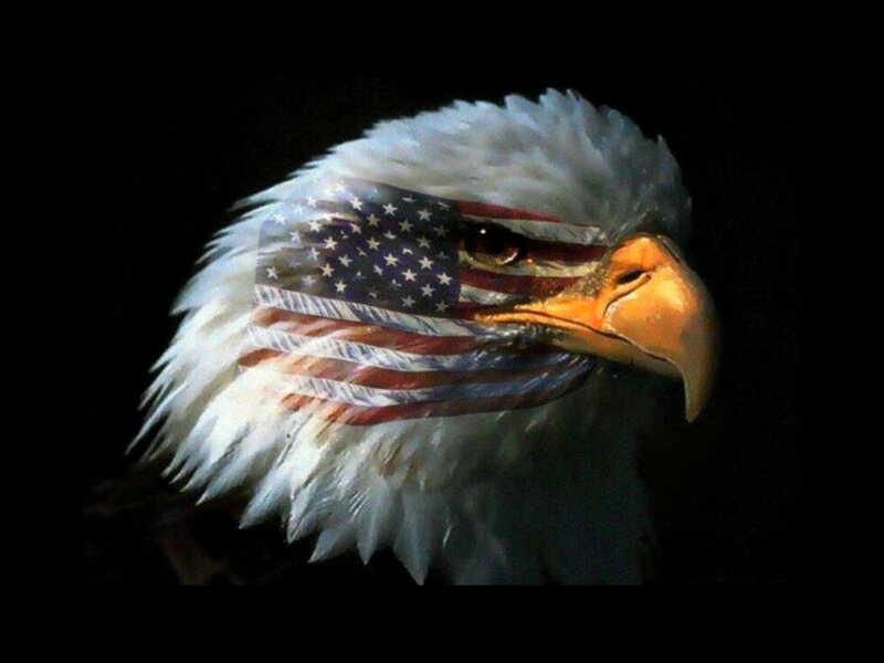 Bald Eagle Head — White, Patriotic, Digital Art, American Flag
