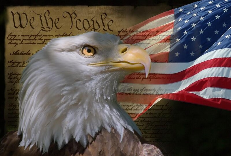 Bald Eagle Head — White, Patriotic