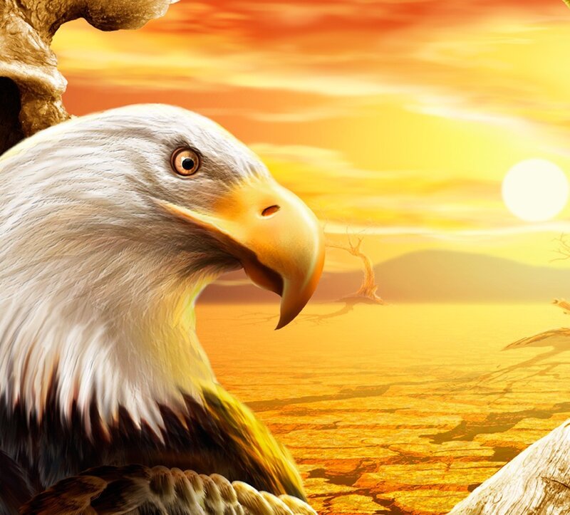 Bald Eagle Head — Yellow