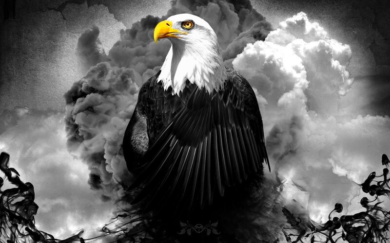 Bald Eagle in Clouds