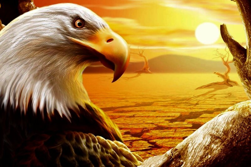 Bald Eagle in Desert — Orange, Dramatic, Sunset, Digital Art, Sun