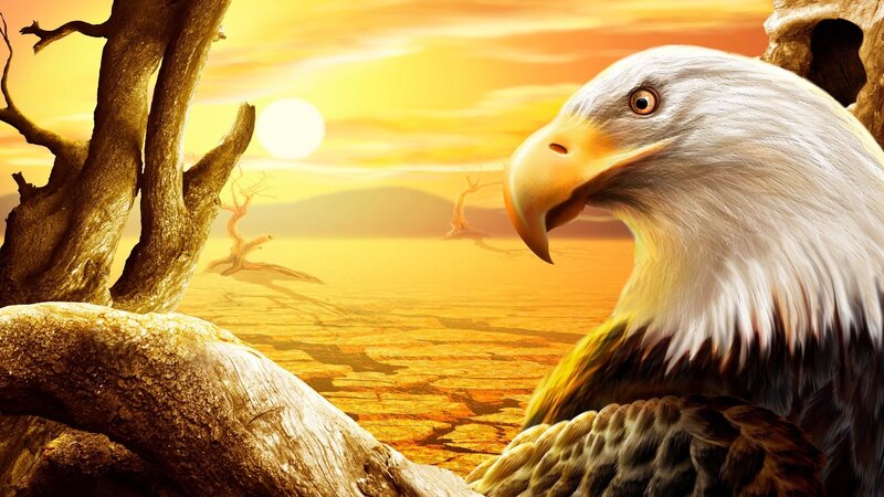 Bald Eagle in Desert — Yellow, Dramatic, Sunset, Digital Art, Sun, Tree, Orange