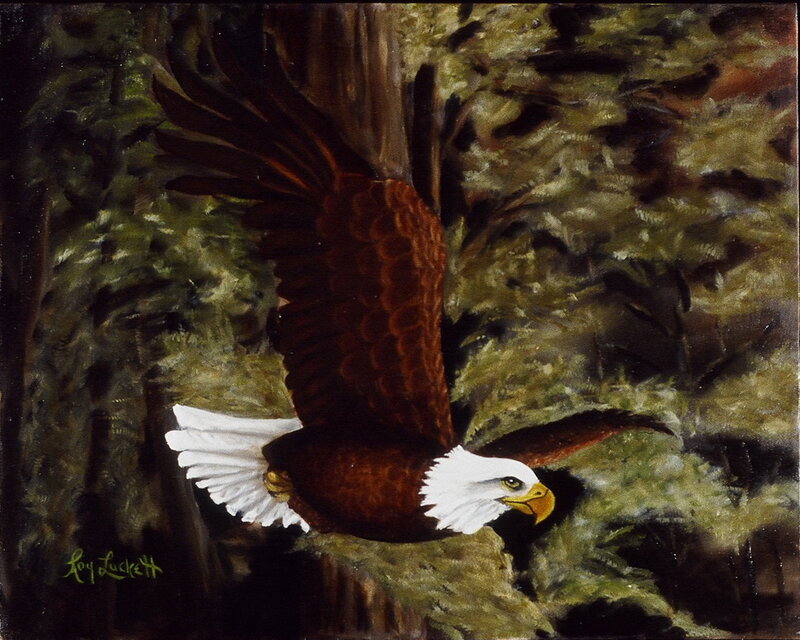 Bald Eagle in Flight