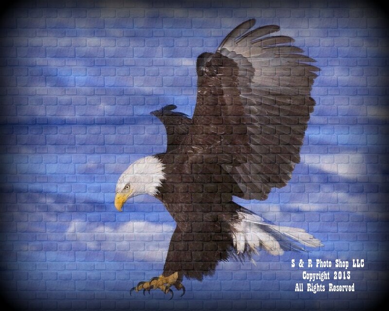 Bald Eagle in Flight — Blue, Dramatic, Digital Art, Brick Wall