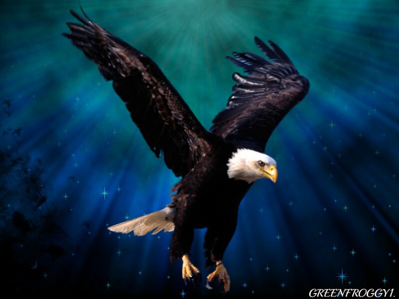 Bald Eagle in Flight — Blue, Dramatic, Digital Art, Wings