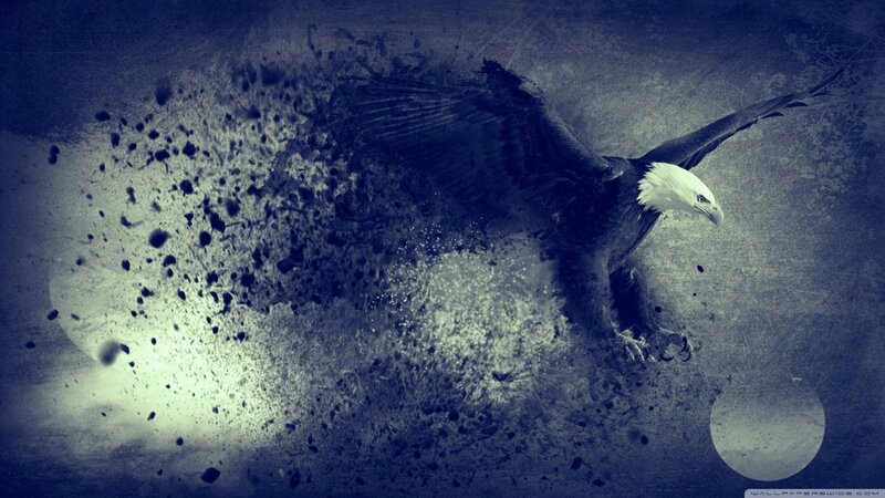 Bald Eagle in Flight — Blue, Dramatic, Night, Digital Art, Splatter