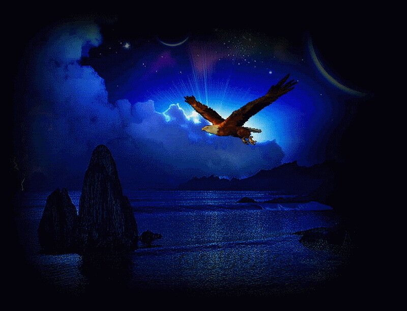 Bald Eagle in Flight — Blue, Dramatic, Night