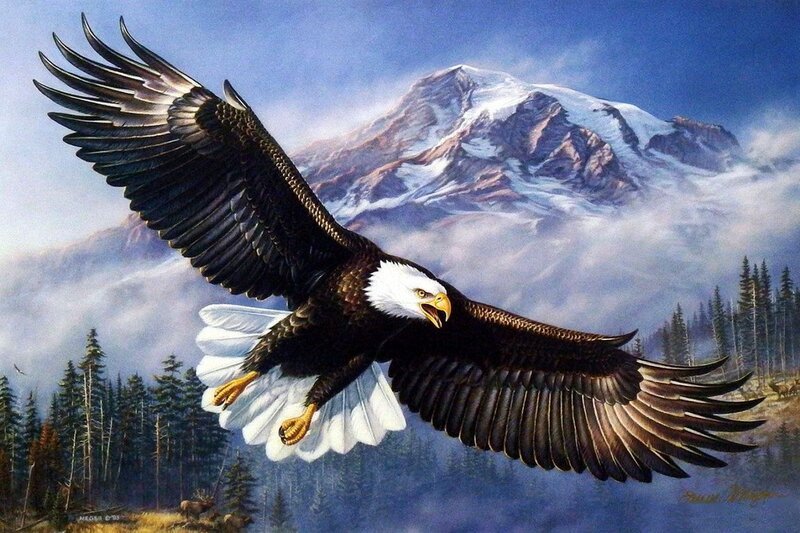 Bald Eagle in Flight — Blue, Dramatic, Painting, Mountain, Forest, Deer