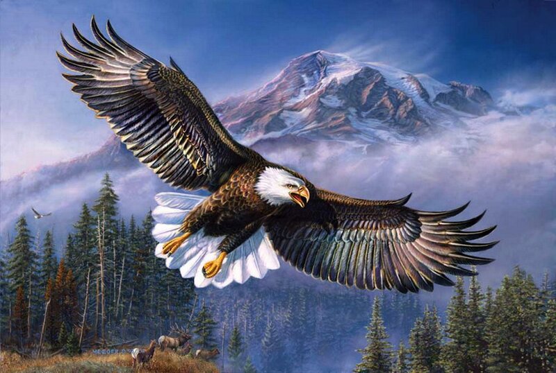 Bald Eagle in Flight — Blue, Dramatic, Painting, Mountain, Forest