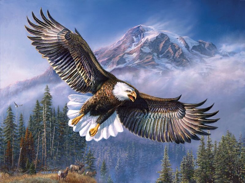 Bald Eagle in Flight — Blue, Dramatic, Painting, Mountain