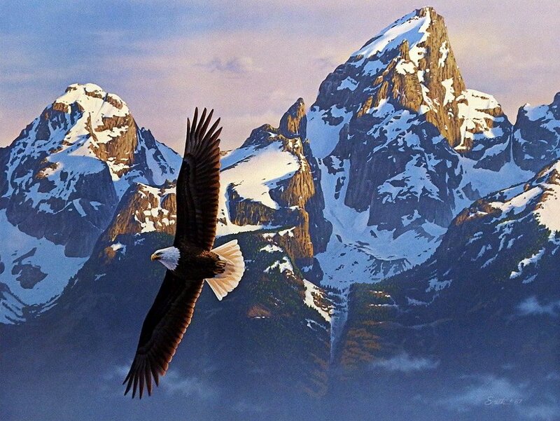 Bald Eagle in Flight — Blue, Dramatic, Sunrise, Painting