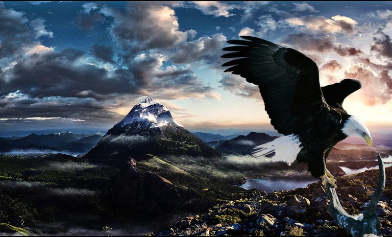 Bald Eagle in Flight — Blue, Dramatic, Sunrise